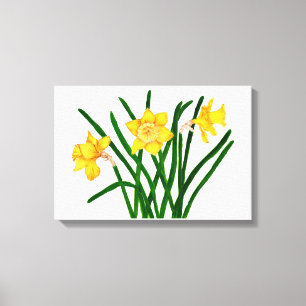 Daffodil Flowers Watercolour Painting Artwork Canvas Print