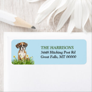 Daffodil Garden Boxer Dog Puppy