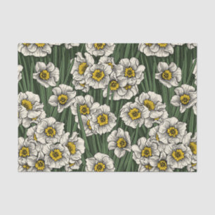 Daffodil garden tissue paper