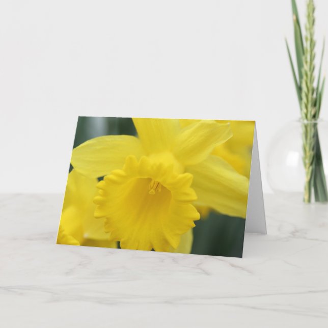 Daffodil greeting card (Front)