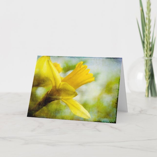 Daffodil • Greeting Card (Front)