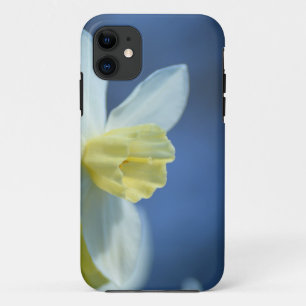 Daffodil in Spring Case-Mate iPhone Case