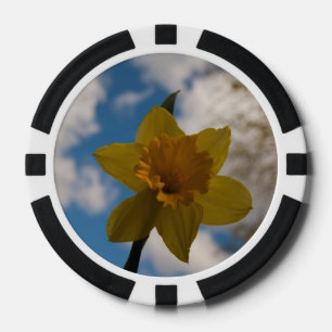 Daffodil in spring poker chips
