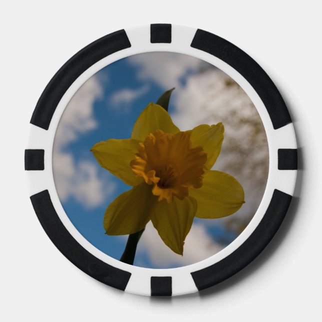 Daffodil in spring poker chips (Front)