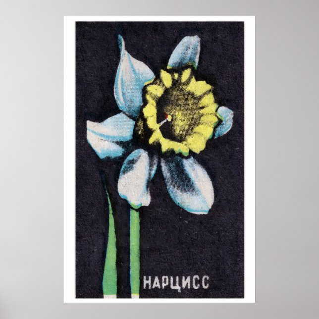 Daffodil - Matchbox Print - Aesthetic Wall Art (Front)