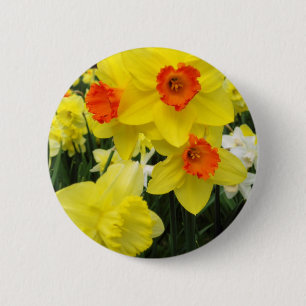 Daffodil Mix Simple 6 Cm Round Badge