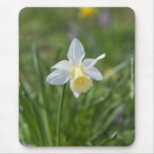 Daffodil Mouse Pad