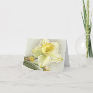 Daffodil Note Card