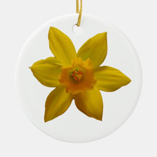 Daffodil Ornament (Front)
