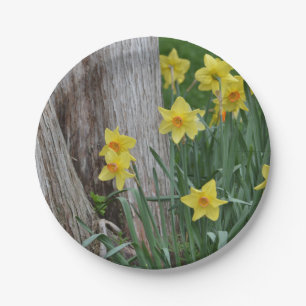 Daffodil Paper Plate