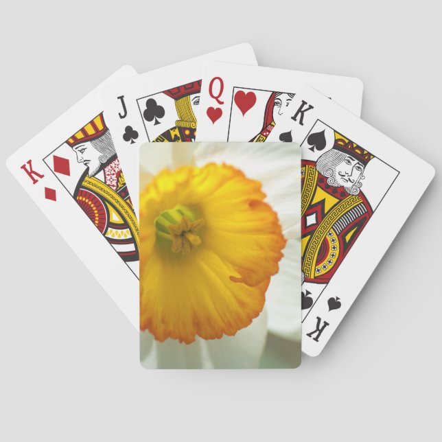 Daffodil Playing Cards (Back)