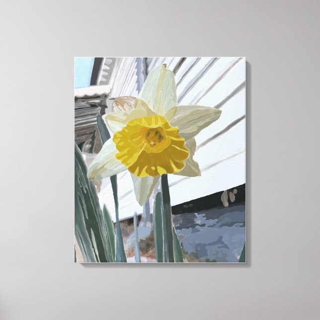 Daffodil Portrait Canvas Print (Front)