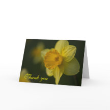 Daffodil Thank You Card