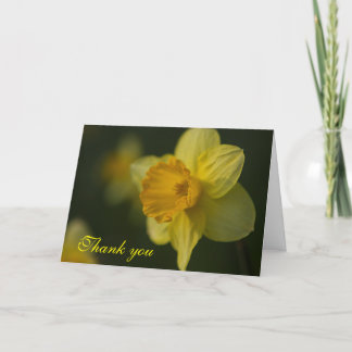 Daffodil Thank You Card