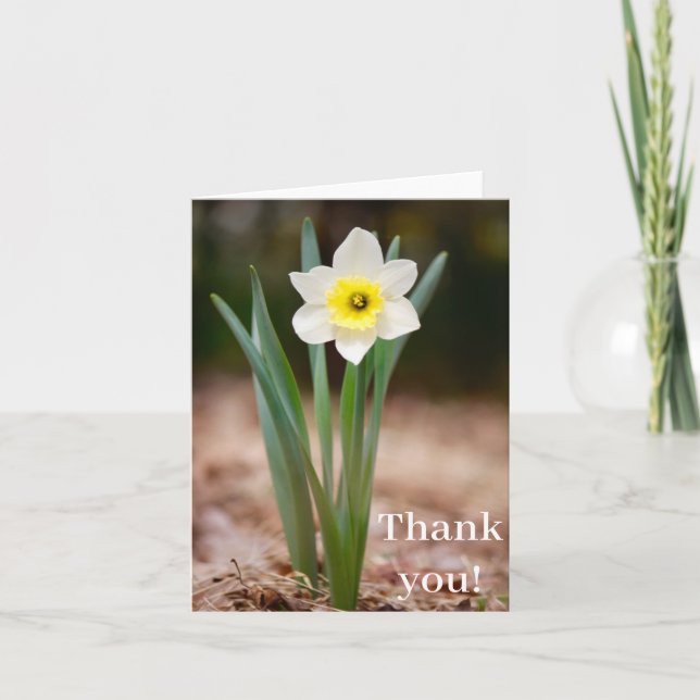 Daffodil "Thank You!" Card (light) (Front)