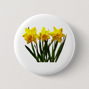 Daffodil Trio 6 Cm Round Badge