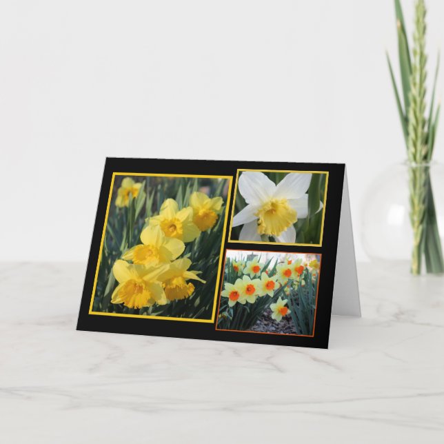 Daffodil Trio Card (Front)