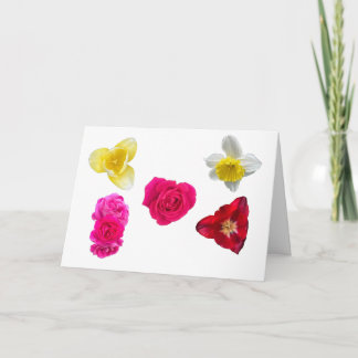 Daffodil, Tulips and Roses Card