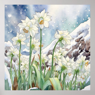 Daffodil Under Snow Wall Art, Floral Square  Poster