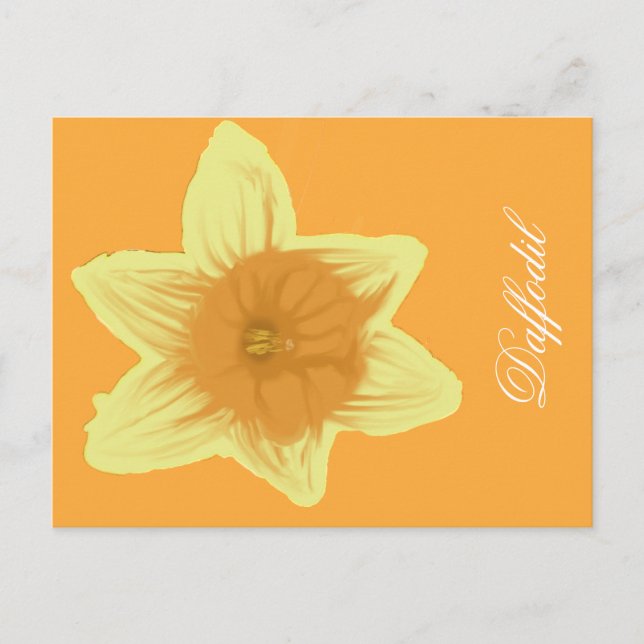 Daffodil Vertical Postcard Orange (Front)