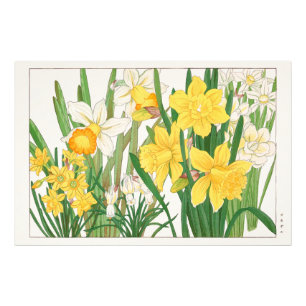 Daffodil Woodblock Painting, Tanigami Kônan, 1917 Photo Print