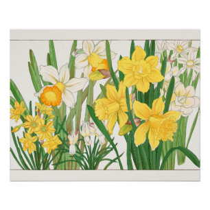 Daffodil Woodblock Painting, Tanigami Kônan, 1917 Poster