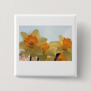 Daffodills 15 Cm Square Badge