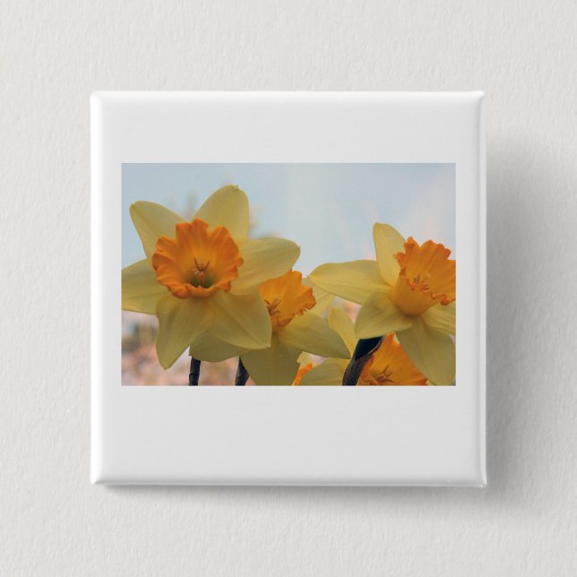 Daffodills 15 Cm Square Badge (Front)