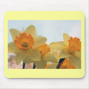 Daffodills Mouse Pad