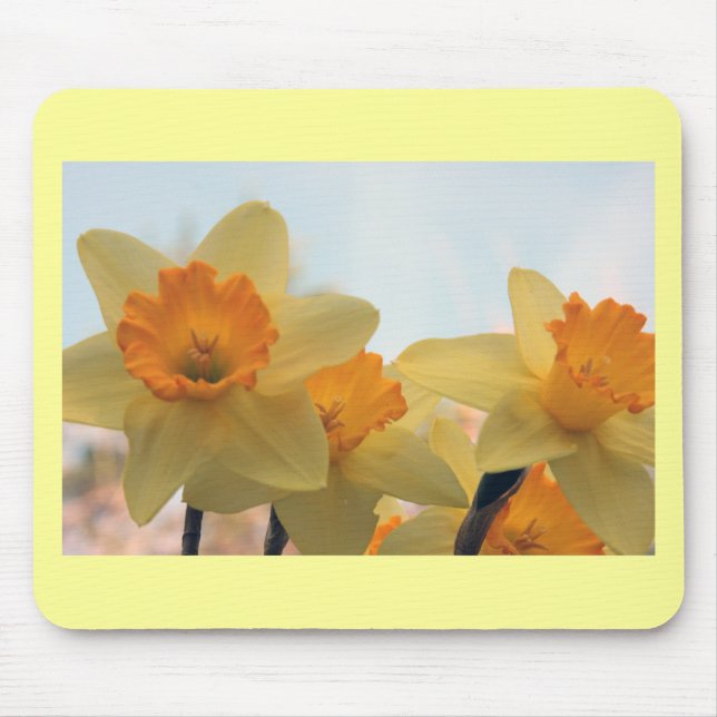 Daffodills Mouse Pad (Front)