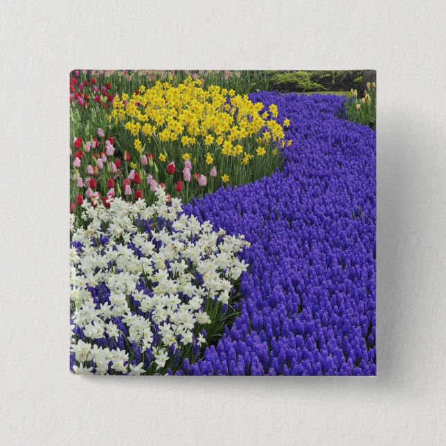 Daffodils and Grape Hyacinth, Keukenhof 2 15 Cm Square Badge (Front)