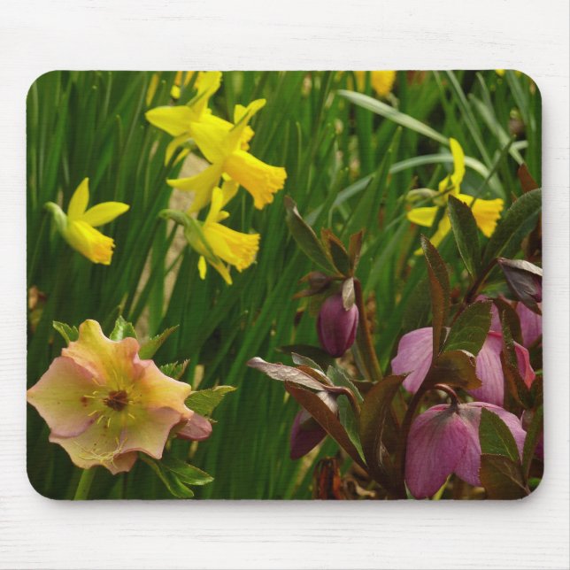 Daffodils and Lenten Roses Colorful Floral Mouse Pad (Front)