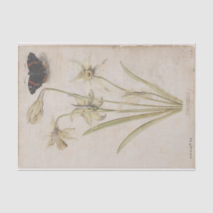 Daffodils and Red Admiral Butterfly by de Morgues Tissue Paper