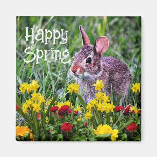 Daffodils and wILD Rabbit  Magnet