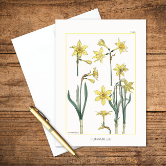Daffodils Botanical of Maurice Verneuil Blank Card