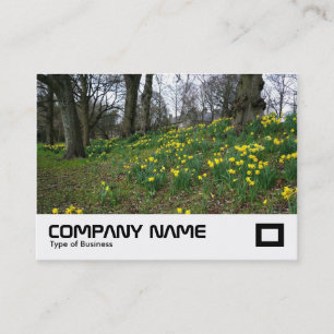 Daffodils Bute Park, Cardiff Business Card