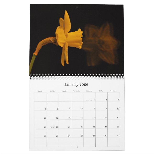 Daffodils Calendar (Jan 2026)