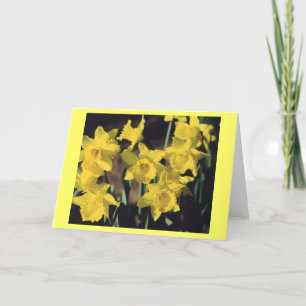 Daffodils Card