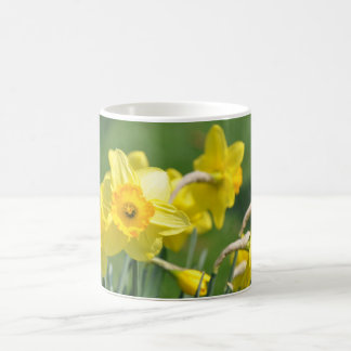 Daffodils Coffee Mug
