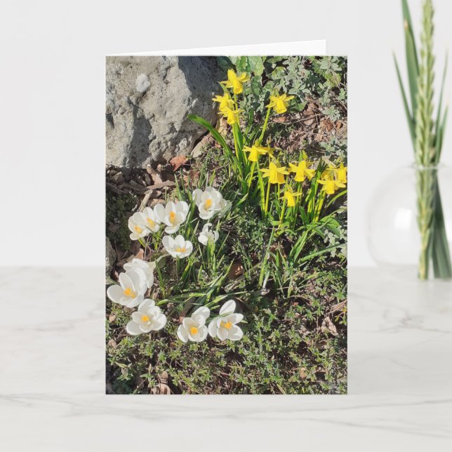 Daffodils & Crocus Card (Front)