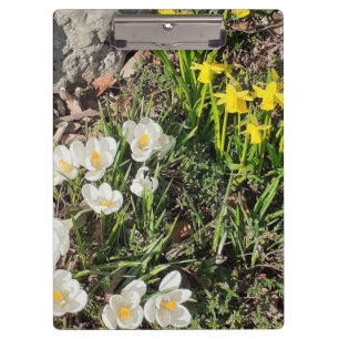 Daffodils & Crocus Clipboard