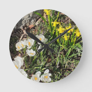 Daffodils & Crocus Clock