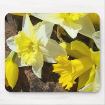 DAFFODILS Daffodil Flowers MOUSEPAD MOUSE PAD