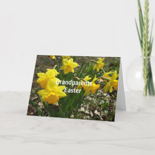 Daffodils for Grandparent's Easter Greeting Holiday Card