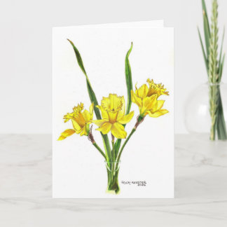 Daffodils in colored pencil holiday card