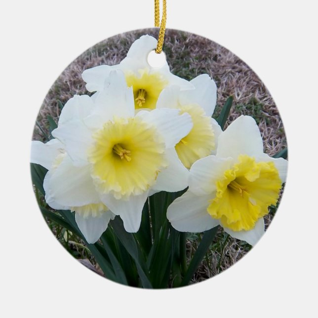 Daffodils Memorial Ornament (Front)