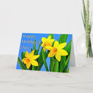 Daffodils Mother's Day Card