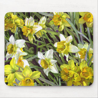 Daffodils Mousepad