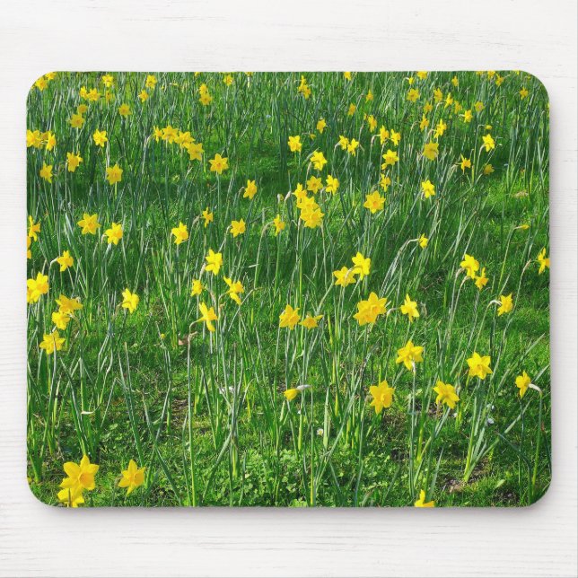 Daffodils/Narcissus Mouse Pad (Front)