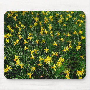 Daffodils/Narcissus Mouse Pad